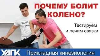 Почему болит колено? Лечим связки (Часть 1)