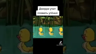 Джерри учит утёнка плавать