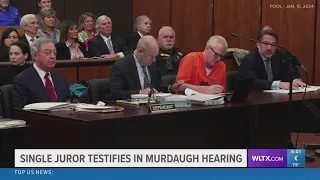 Single juror testifies in Murdaugh hearing