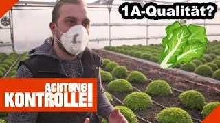 Strenge Qualitätskontrolle! Salatfarm unter der Lupe! |1/2| Kabel Eins | Achtung Kontrolle