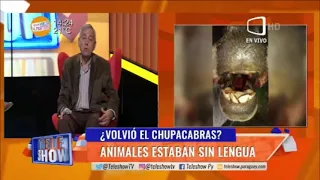 ¿Volvió el chupacabras? Extraña muerte de animales.#TeleShow