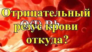 Отрицательный резус крови - откуда?