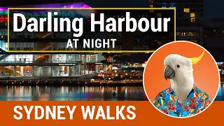 DARLING HARBOUR AT NIGHT - Walk Around Sydney's Harbourside Playground