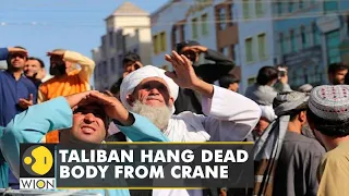 Taliban hang 4 bodies from cranes in Afghanistan, call it 'Lesson for kidnappers ' | WION News