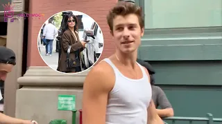 Shawn Mendes and Camila Cabello Spend Time Apart after NYC Stroll