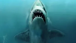 Jaws theme