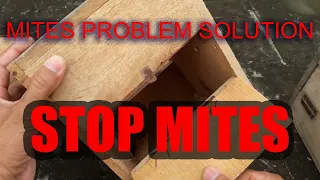 How to protect your's bird breeding box from mites/MITES PROBLUM SOLUTION/Big Bird's Lover's Planet