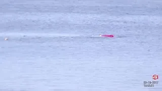 RAW: Kayaker Survives Shark Attack In Monterey