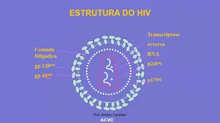 IMUNOLOGIA - Imunodeficiência secundária: infecção pelo HIV