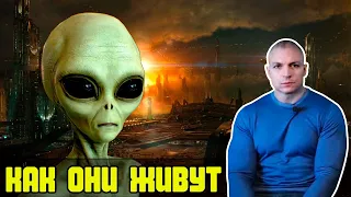 👽 Как тёмные космические цивилизации относятся к своим родным планетам (Сергей Тармашев)