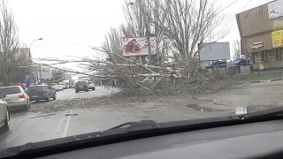 Деревья падают прямо на машины штормовое предупреждение
