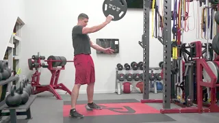 Single Arm Plate Swing