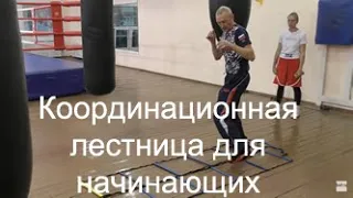 Бокс: координационная лестница для начинающих/Boxing: aguility ladder for beginners.