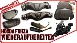 Honda Forza "aufpoliert" frisch 👀 in die Saison! 😎