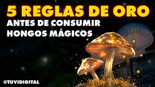 5 Golden Rules - Before Consuming Magic Mushrooms And Psilocybin | #TUVIDIGITAL