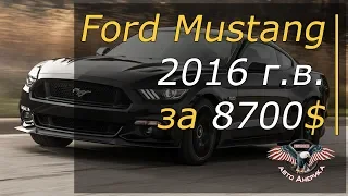 Встреча Ford Mustang 2016 г.в. за 8700$. [2019]