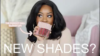 NEW SHADES IN THE MAYBELLINE LIFTER GLOSS?? | FALL DRUGSTORE LIP GLOSSES YOU NEED! | Andrea Renee