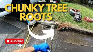 Blocked Drain 307 - Chunk Of Tree Root Explodes From The Muddy Drain