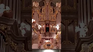 Самый большой орган в России. Кафедральный собор.
