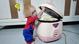 So smart! Baby Monkey AKA finding a way to eat rice in a pot when he hungry
