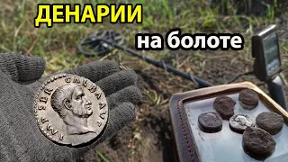 Мега коп денариев на высохшем водоеме.