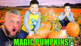 GROWING MAGIC PUMPKINS in CALEB's PUMPKIN PATCH!