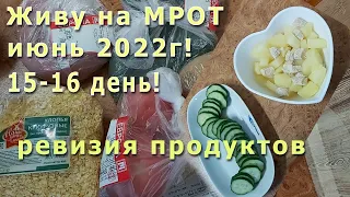 Живу на МРОТ июнь 2022г! 15 - 16 день! Ревизия продуктов! Все по простому!