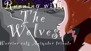 Running With The Wolves// Warrior Cats Animator Tribute (Read Description)