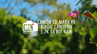 5.7K 14bit RAW Unlocking UNREAL Cinematic Video! CANON 5D MARK III with MAGIC LANTERN