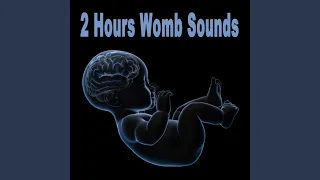 2 Hours Womb Sounds (Gets Baby to Sleep Fast! Calms Crying Babies & Colic)