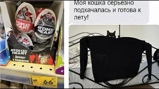 Моя кошка серьезно подкачалась к лету. Школомемы.