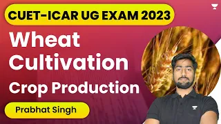 CUET ICAR Exam 2023 | Wheat Cultivation | Crop Production | Agriculture Domain | Prabhat Singh