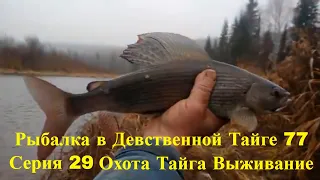 Рыбалка в Девственной Тайге 77 Серия 29 Тайга Охота Поход Выживание Лес Сибирь Медведь Полный Фильм