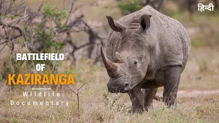 Battlefield of Kaziranga । शिकारियों ओर जानवरों के बीच मौत का खूनी खेल