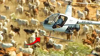 É ASSIM QUE TOCA GADO NA MAIOR FAZENDA DO MUNDO