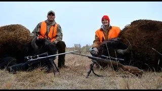 2013 Yellowstone Bison Hunt - Montana