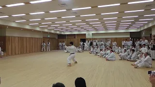 JKS  ENPI Koji Arimoto Sensei