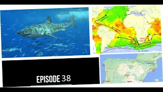 Episode 38 - Shark Attack Case Files - History of Spanish Great White Shark Attacks