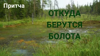 Откуда берутся болота