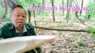 Dag Ruam Kawg Tuag Ruam Tes  12/18/2022