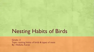 Grade-3 nesting habits of birds