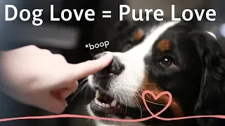 Dog Love = Pure Love | Happy Valentine's Day from Rover.com