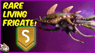 How To Find A Rare S Class Living Frigate! No Man's Sky Endurance Update