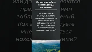 Коллеги по работе нововведенцы. Что делать? / Шейх Рабиа аль-Мадхали