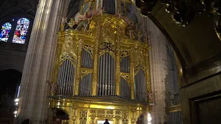 Lleno en Do mayor. Félix Máximo López (1742 - 1821). Catedral de Segovia. Ángel Montero (directo)