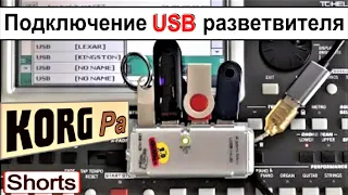 KORG Pa~Using USB Hub⭐Подключение USB разветвителя в порт синтезатора