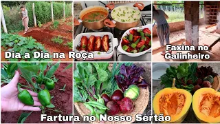 Colheita na Horta para o Almoço | Rotina na Roça, Limpeza no Galinheiro, e Almoço no Capricho