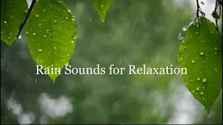 Ambient Sounds for Relaxation | Relaxing Music and Rain Sounds for Stress Relief and Meditation 🌧️