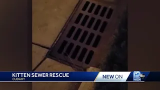 Cudahy neighbors rescue kitten trapped in storm drain