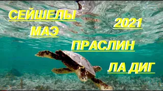 Само Совершенство! Это Сейшелы! Самый бюджетный вариант Дорогих Островов!